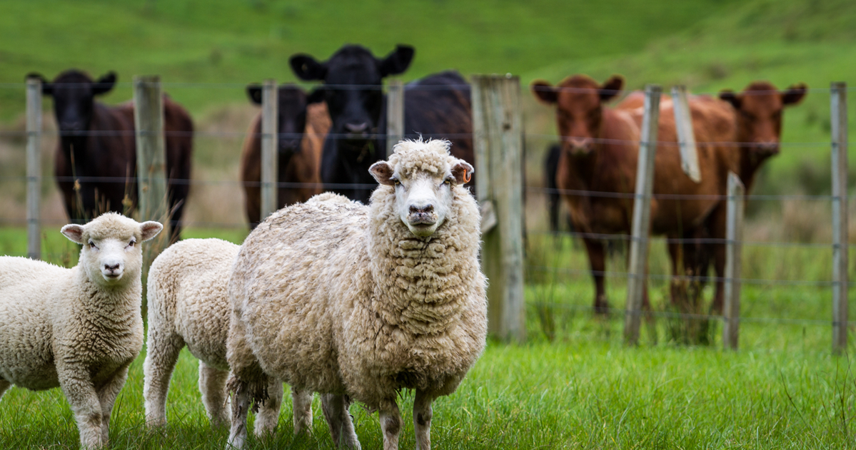Farm Image